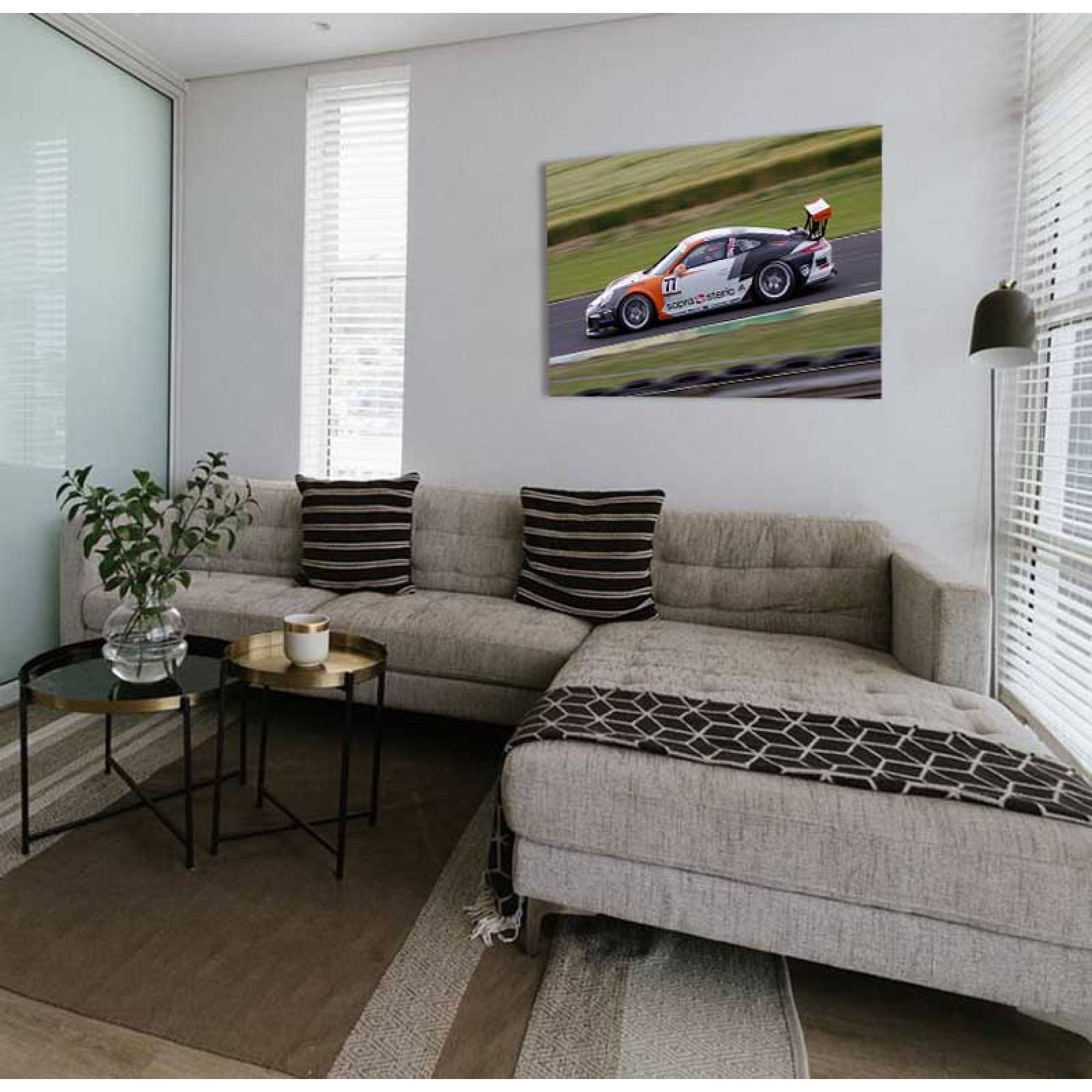 Cuadro Decorativo Auto Porsche Racing.