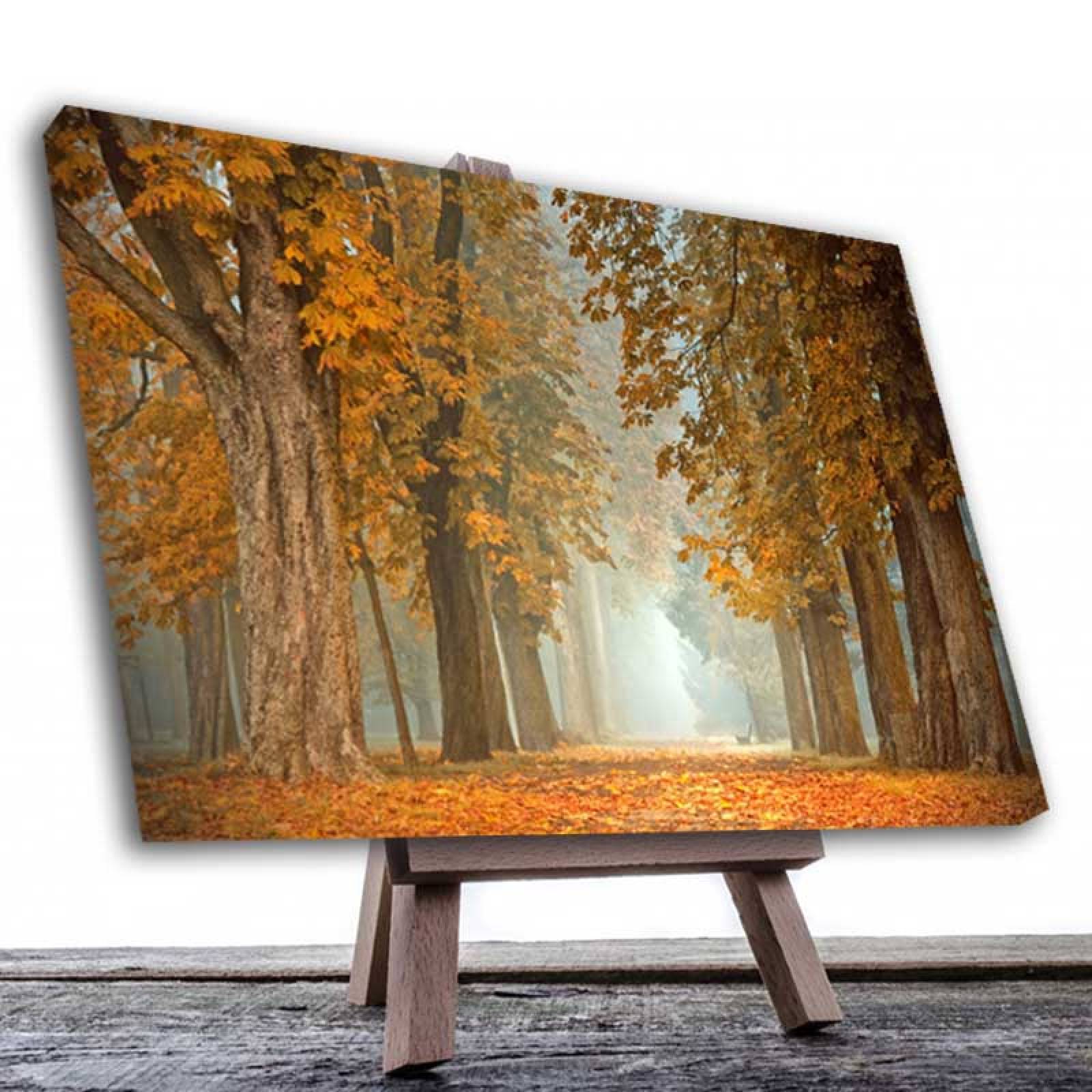 Cuadro Decorativo un Lindo Otoño