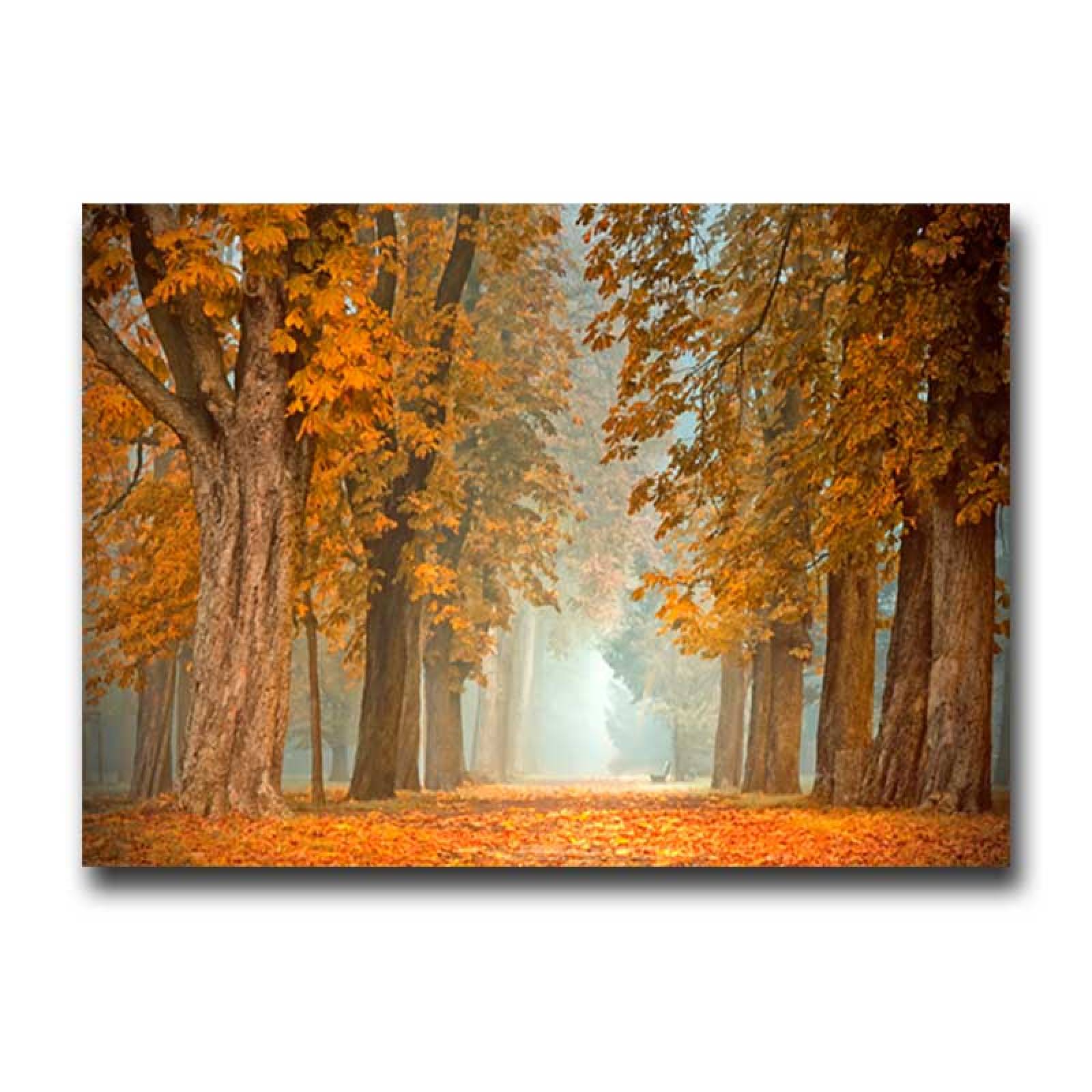 Cuadro Decorativo un Lindo Otoño