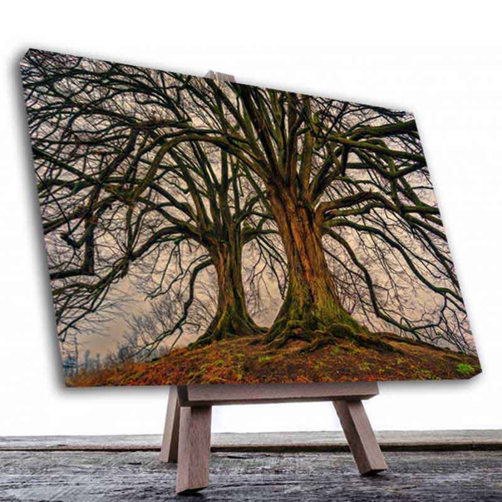 Cuadro Decorativo Compañeros de Vida