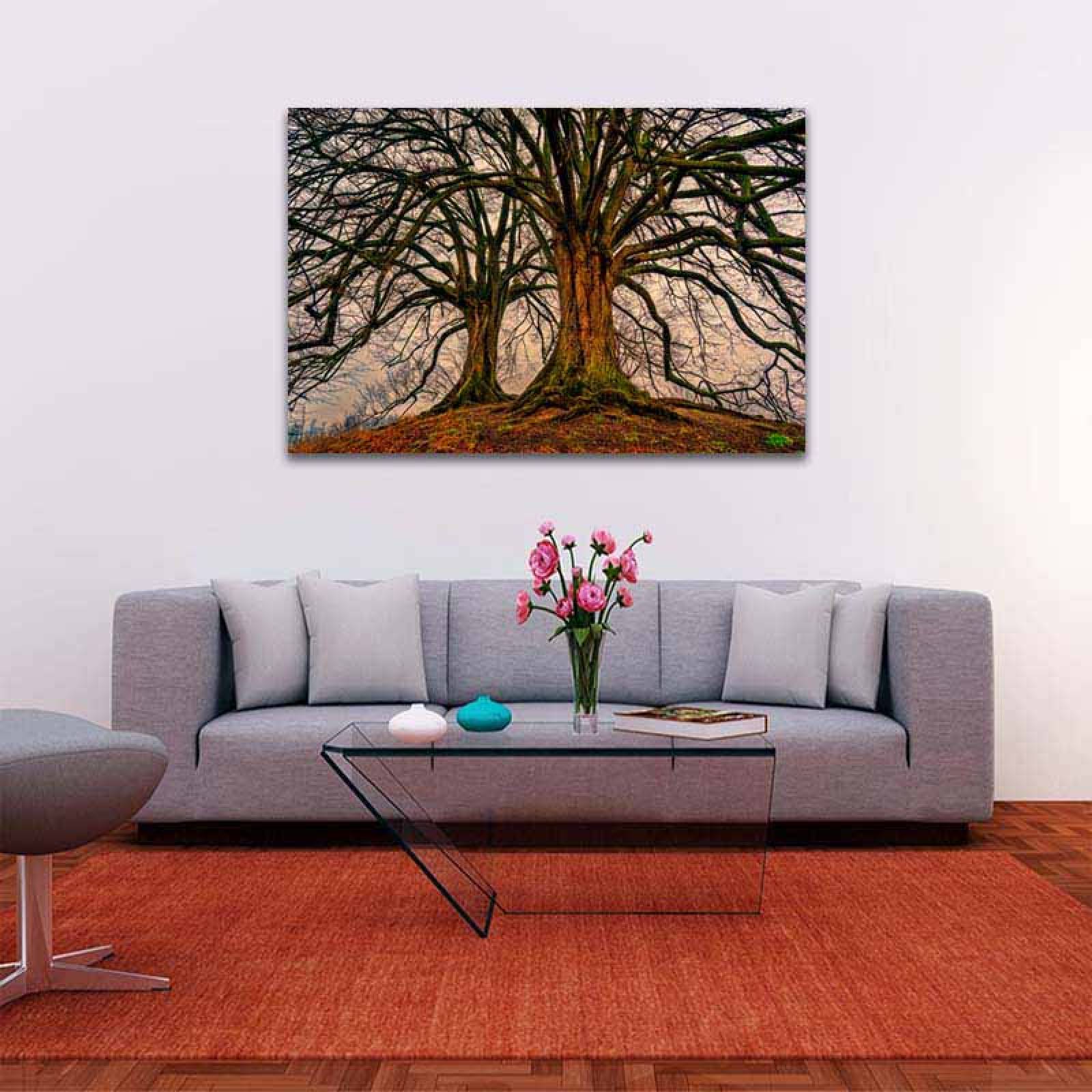 Cuadro Decorativo Compañeros de Vida