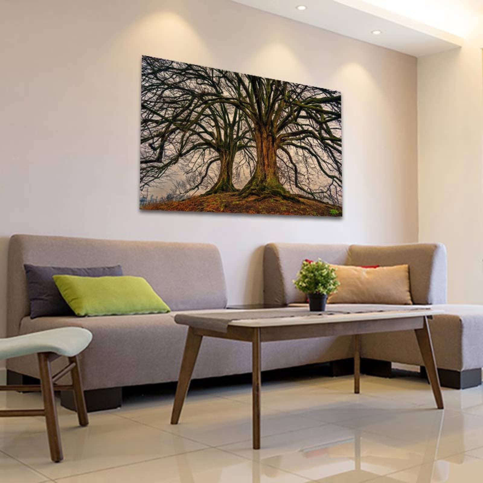 Cuadro Decorativo Compañeros de Vida