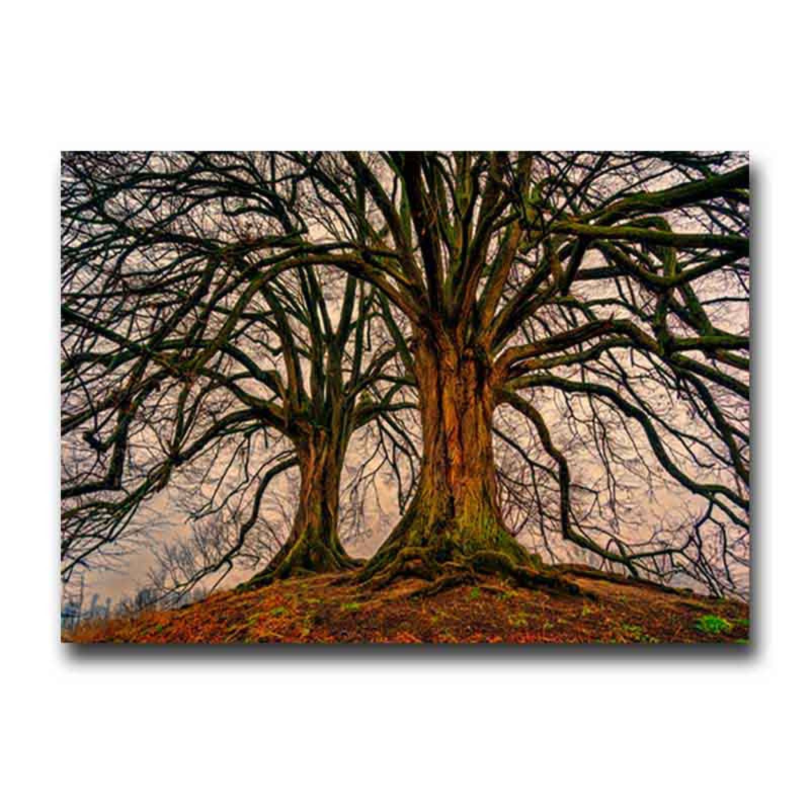 Cuadro Decorativo Compañeros de Vida