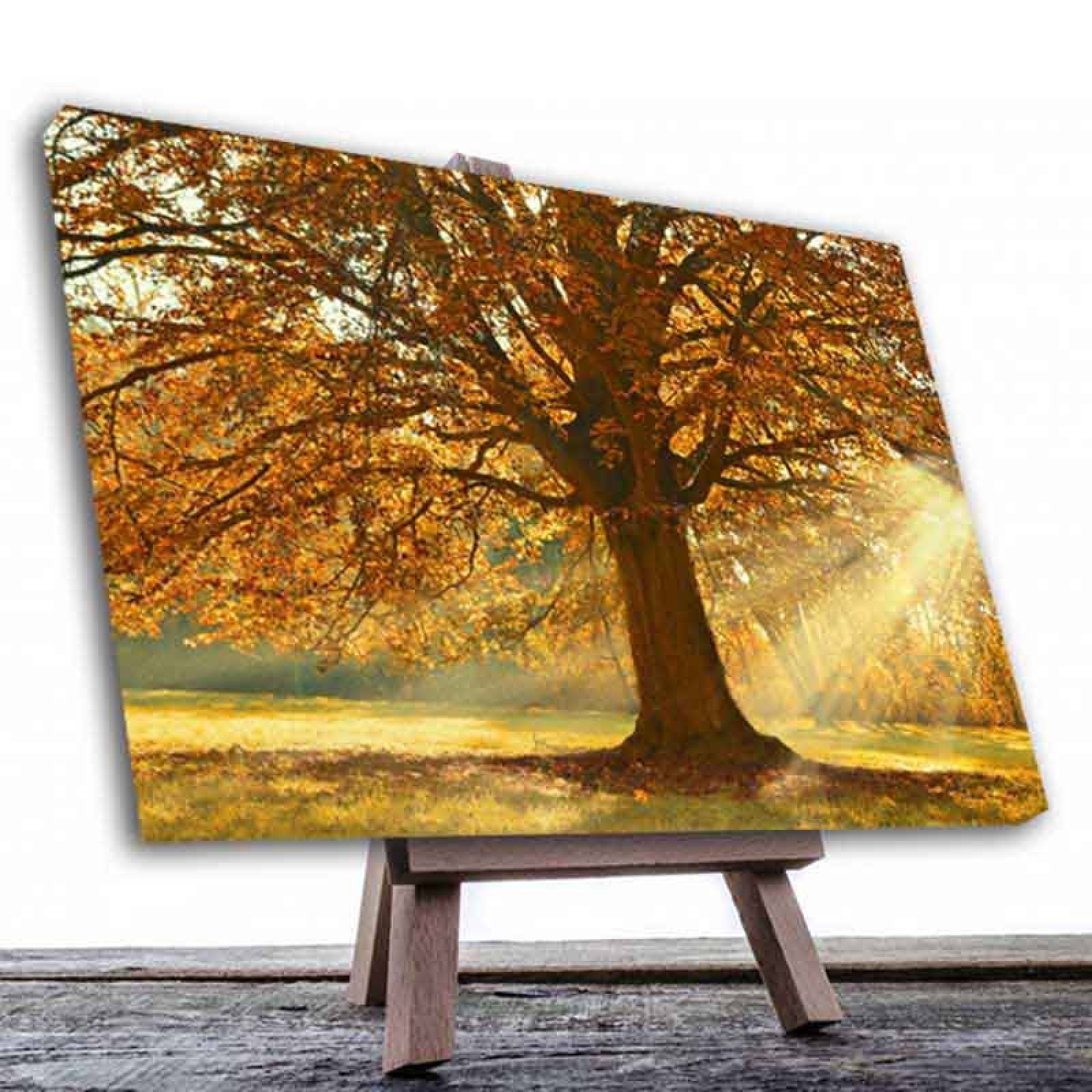 Cuadro Decorativo Árbol en Otoño.