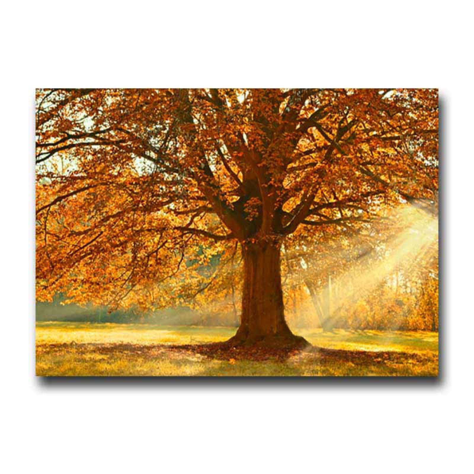 Cuadro Decorativo Árbol en Otoño.