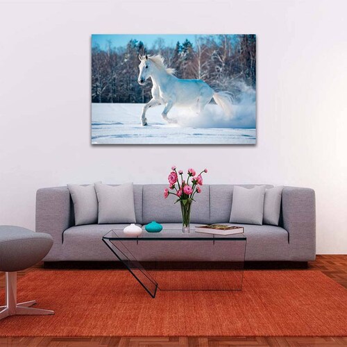 Cuadro Decorativo caballo Blanco en la Nieve