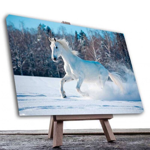 Cuadro Decorativo caballo Blanco en la Nieve