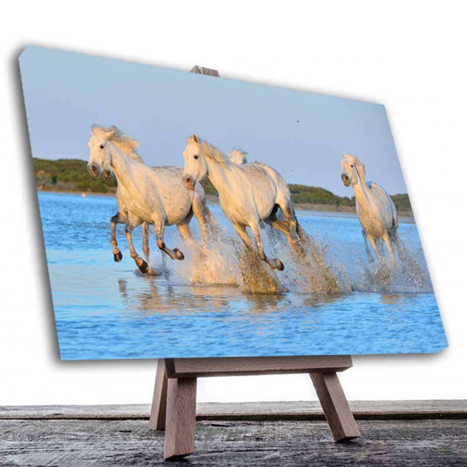 Cuadro Decorativo Caballo Blanco galopando en la playa #08