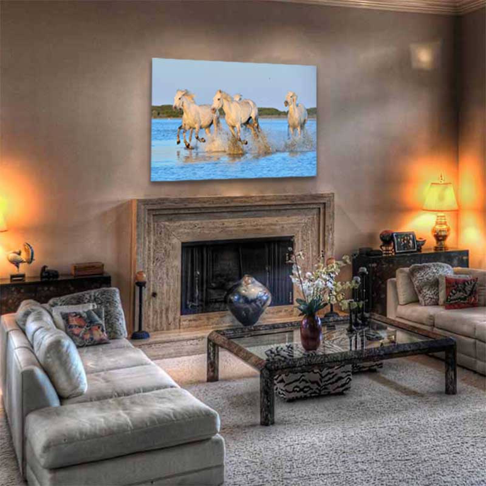 Cuadro Decorativo Caballo Blanco galopando en la playa #08