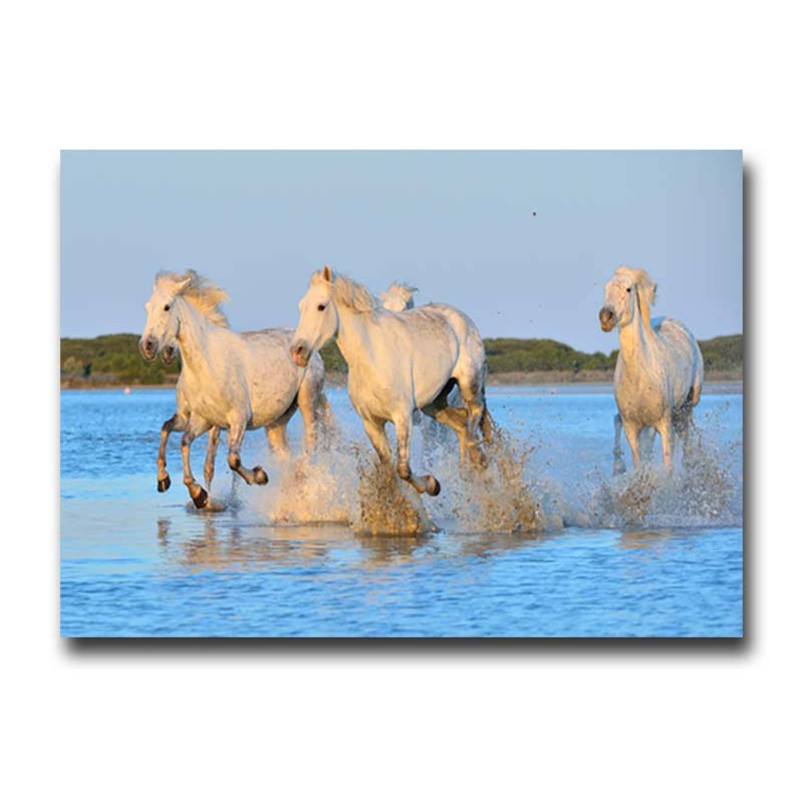 Cuadro Decorativo Caballo Blanco galopando en la playa #08