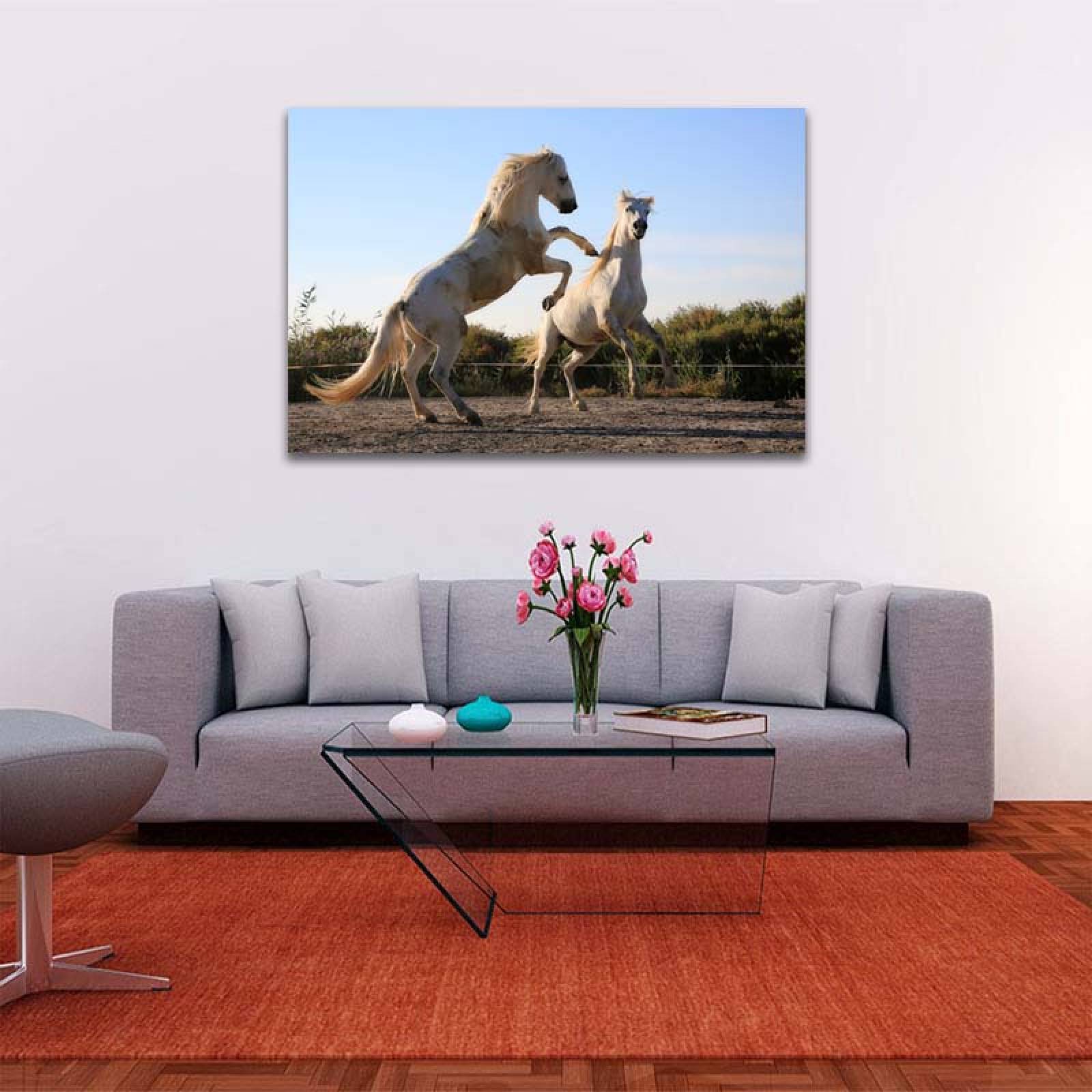 Cuadro Decorativo Caballos Blancos