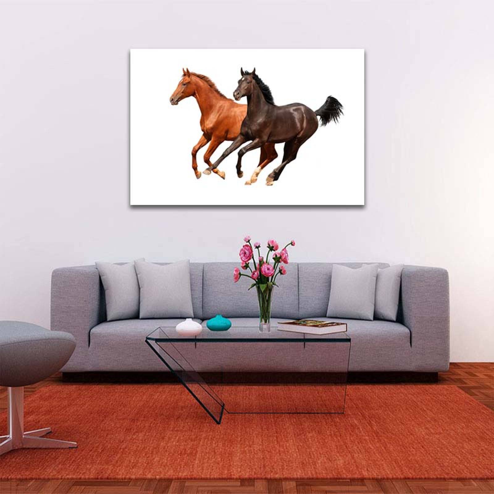Cuadro Decorativo Caballos #05