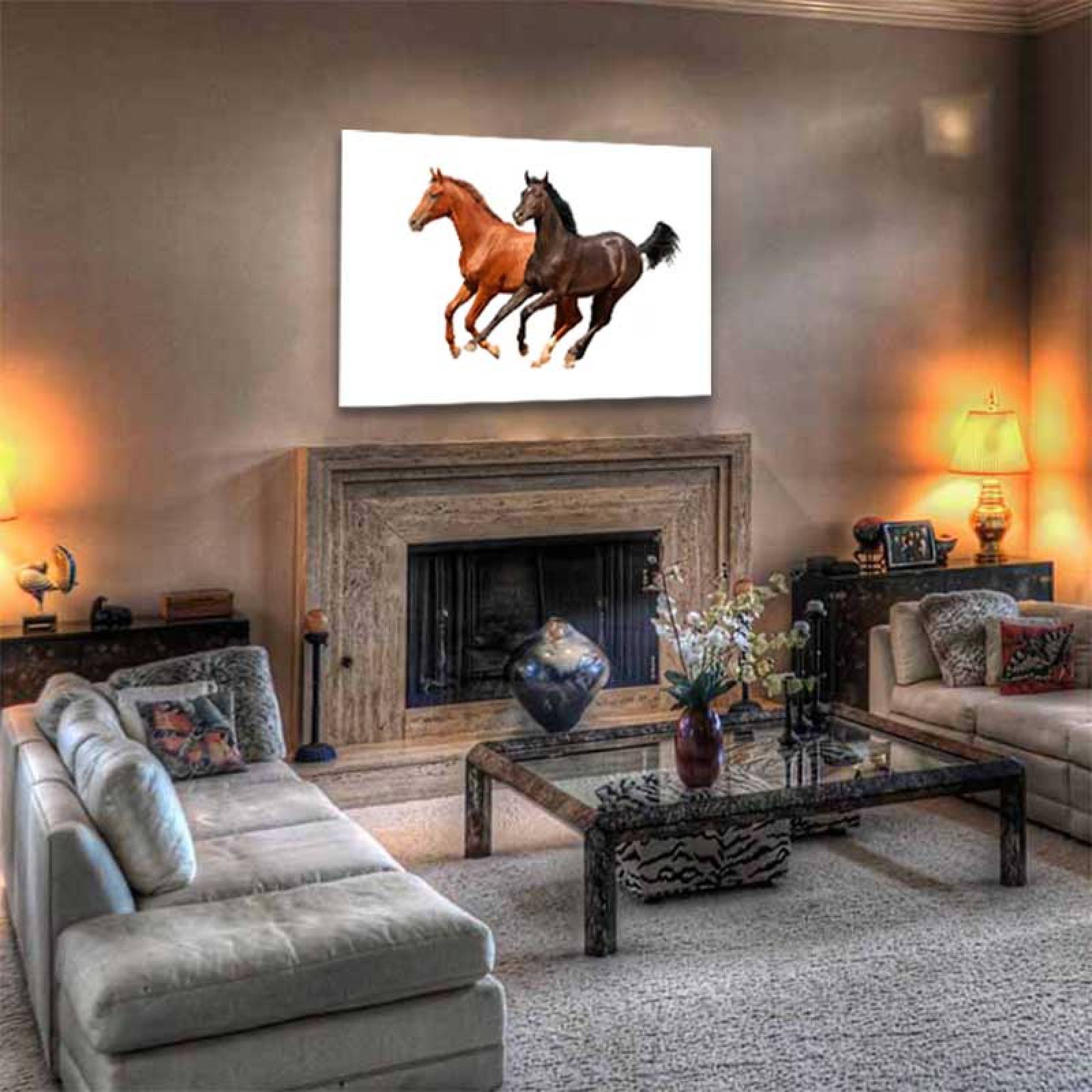 Cuadro Decorativo Caballos #05