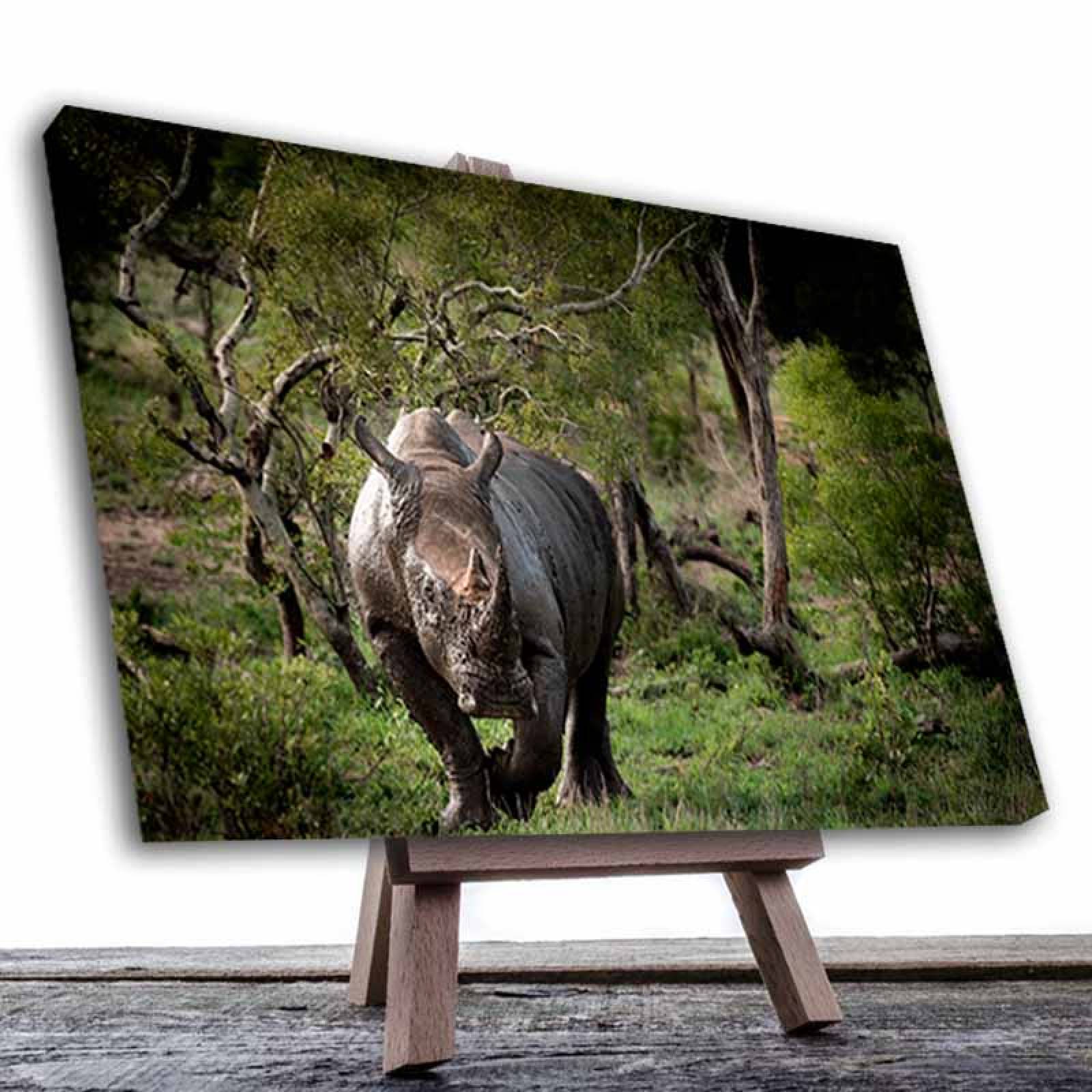 Cuadro Decorativo Canvas Paisaje de Rinoceronte en la Selva de 135 X 90 cm.