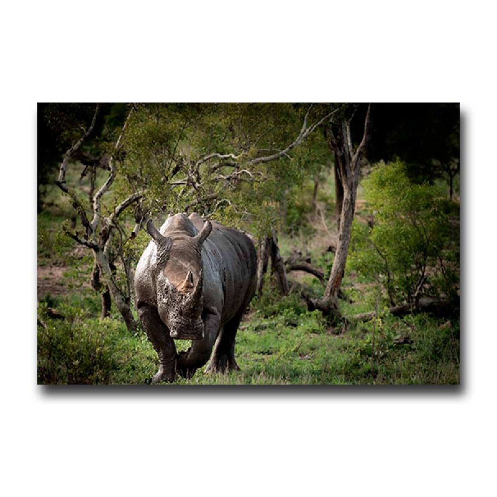 Cuadro Decorativo Canvas Paisaje de Rinoceronte en la Selva de 135 X 90 cm.