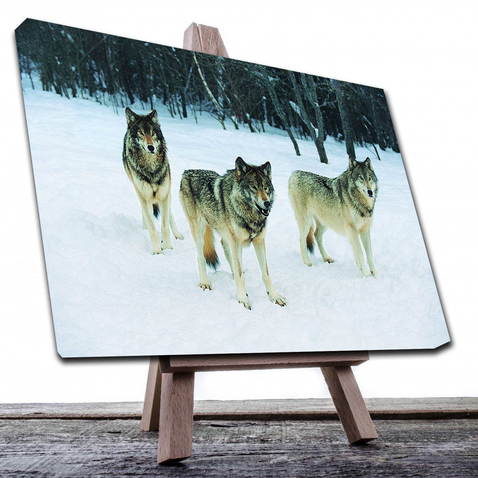 Cuadro Decorativo Canvas Paisaje de Lobos de 90 X 60 cm