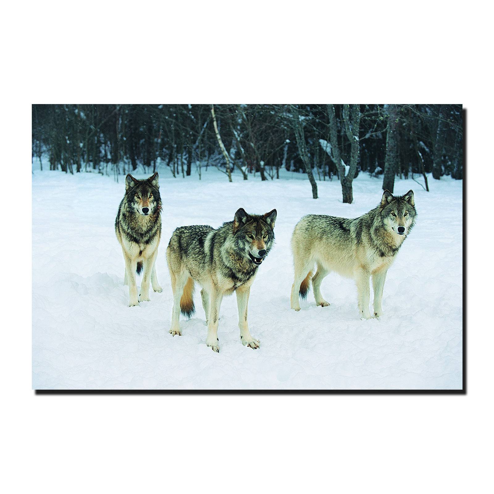 Cuadro Decorativo Canvas Paisaje de Lobos de 90 X 60 cm
