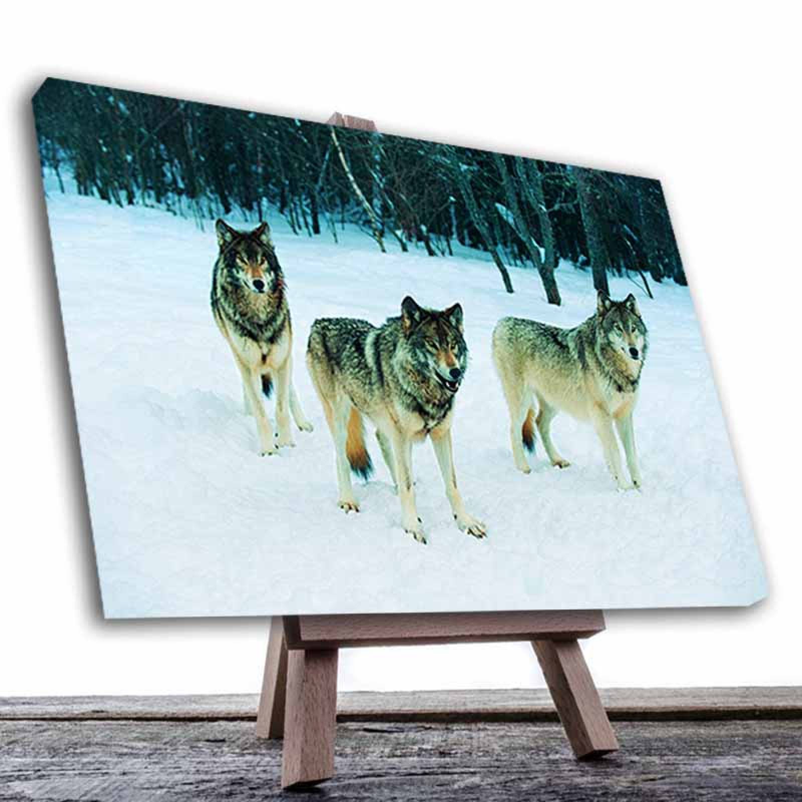 Cuadro Decorativo Canvas Paisaje de Lobos de 120 X 80 cm