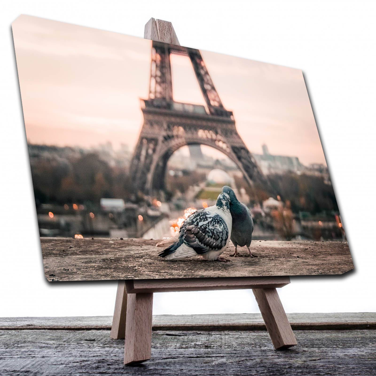 Cuadro Decorativo Canvas Paisaje de Pareja de Aves Paris de 90 X 60 cm
