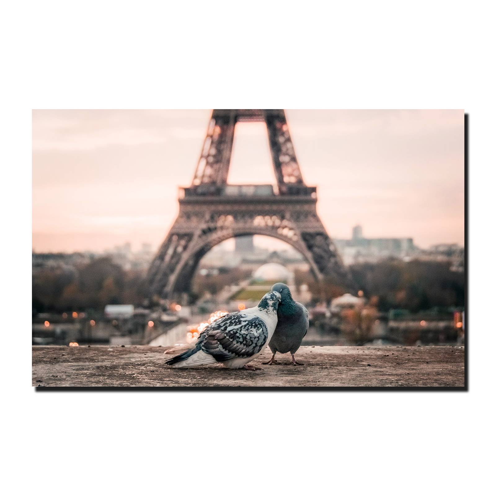 Cuadro Decorativo Canvas Paisaje de Pareja de Aves Paris de 90 X 60 cm