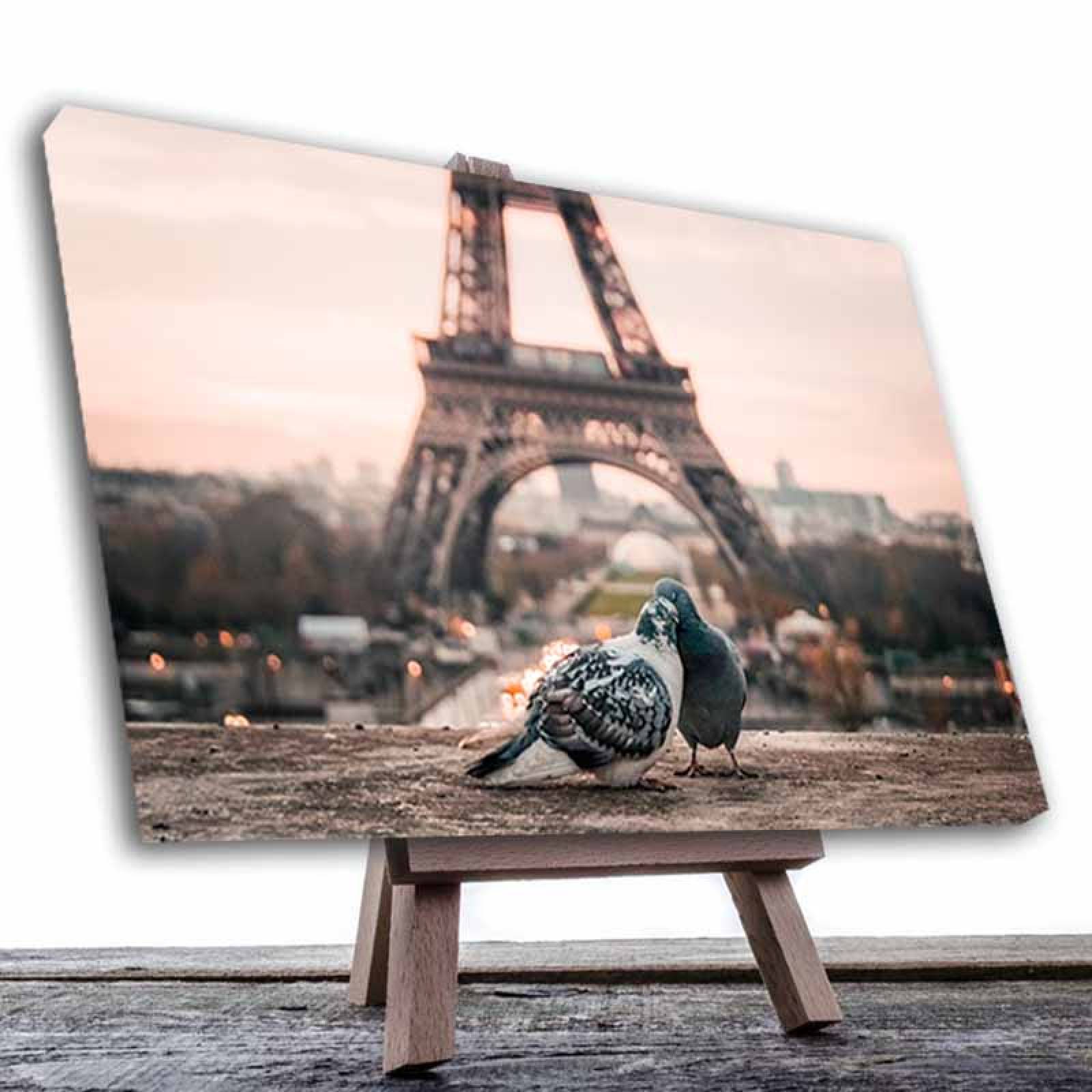 Cuadro Decorativo Canvas Paisaje de Pareja de Aves Paris de 135 X 90 cm.