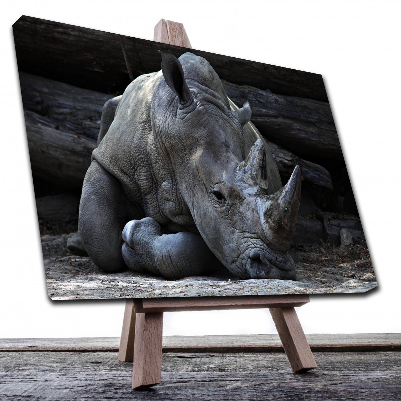 Cuadro Decorativo Canvas Paisaje de Rinoceronte gris de 60 x 40 cm