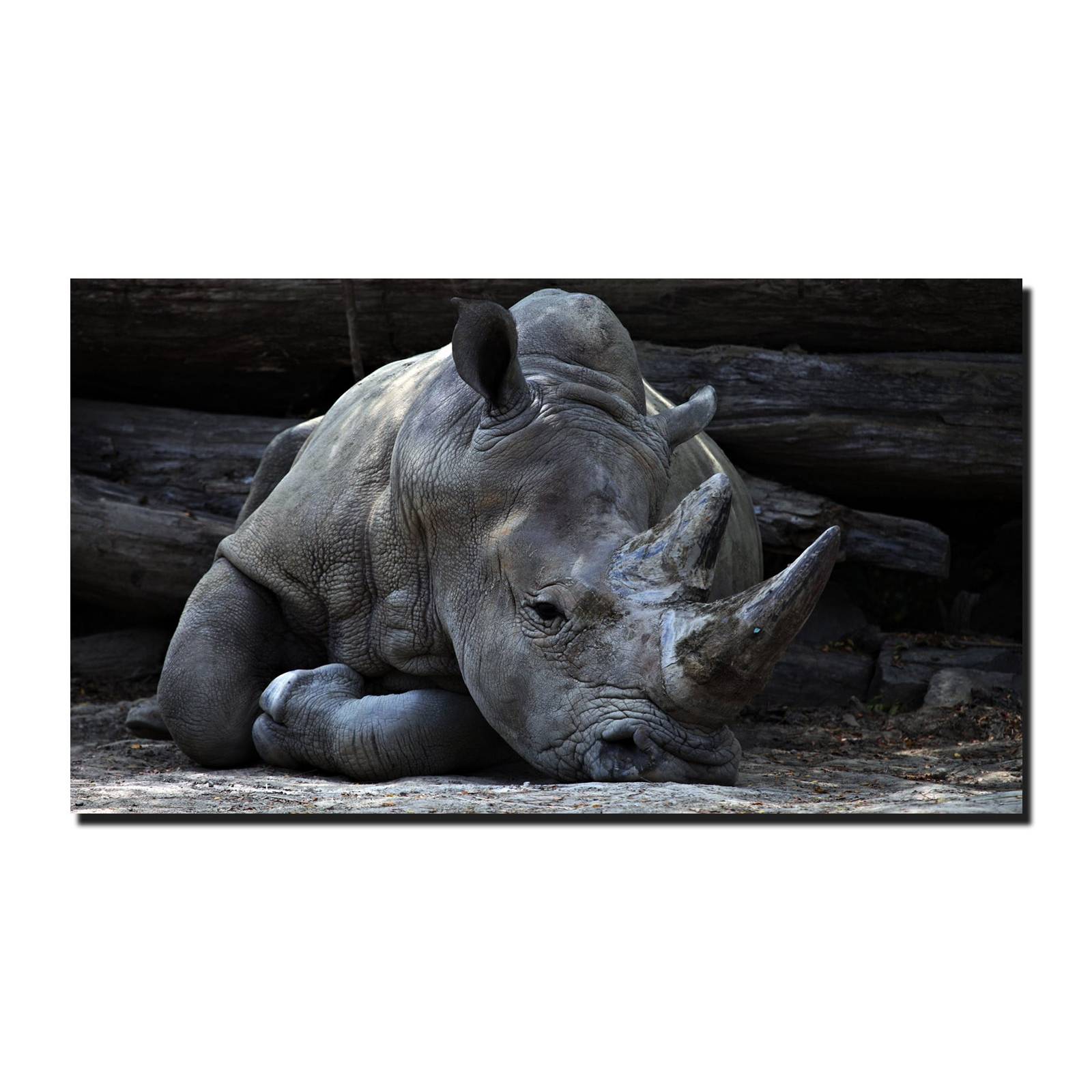 Cuadro Decorativo Canvas Paisaje de Rinoceronte gris de 60 x 40 cm