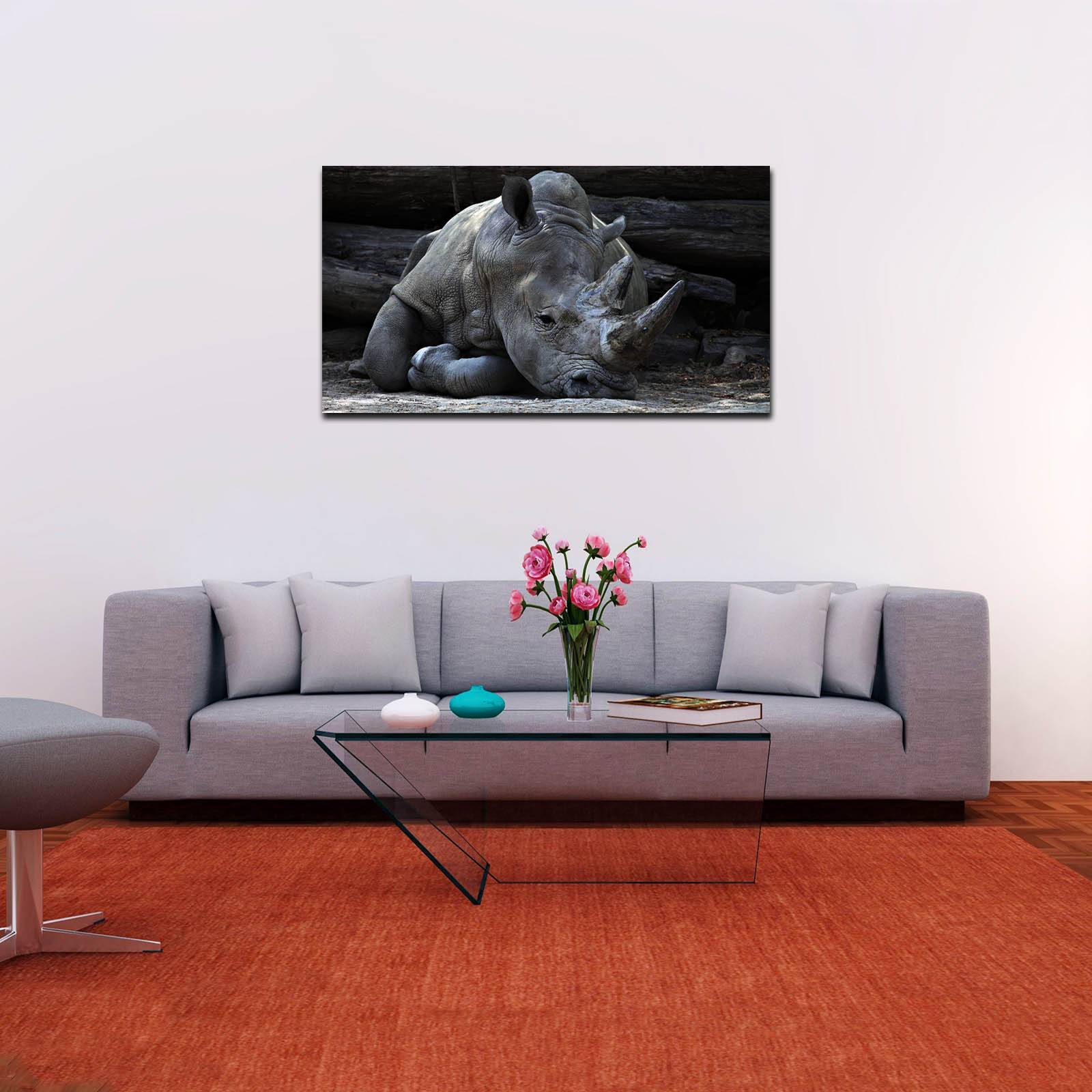 Cuadro Decorativo Canvas Paisaje de Rinoceronte gris de 60 x 40 cm