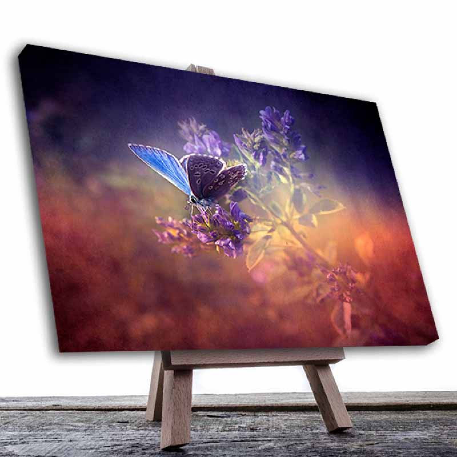 Cuadro Decorativo Canvas Paisaje Mariposa de color morado de 135 X 90 cm.