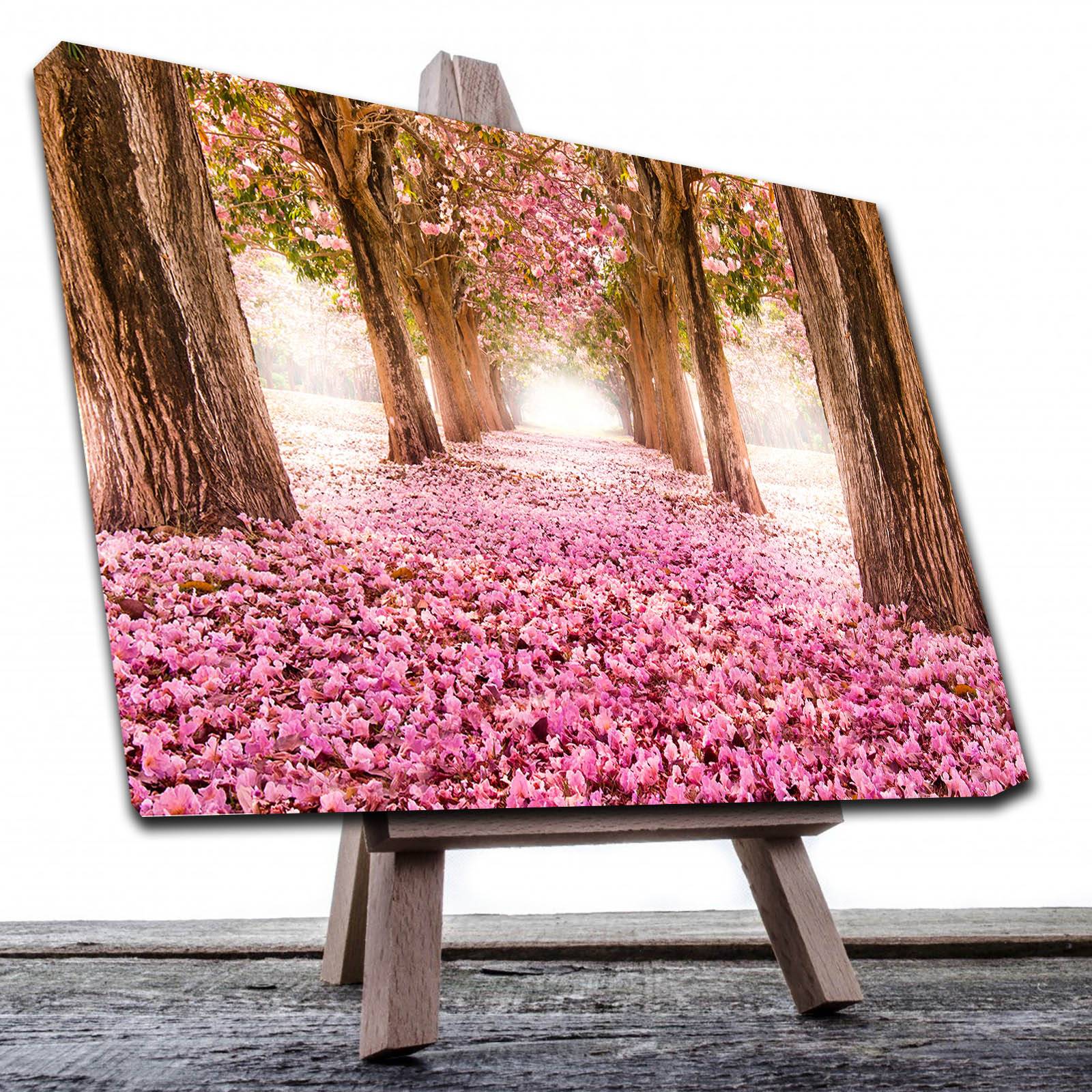 Cuadro Decorativo Canvas Paisaje de camino de pétalos rosas en el bosque de 60 x 40 cm