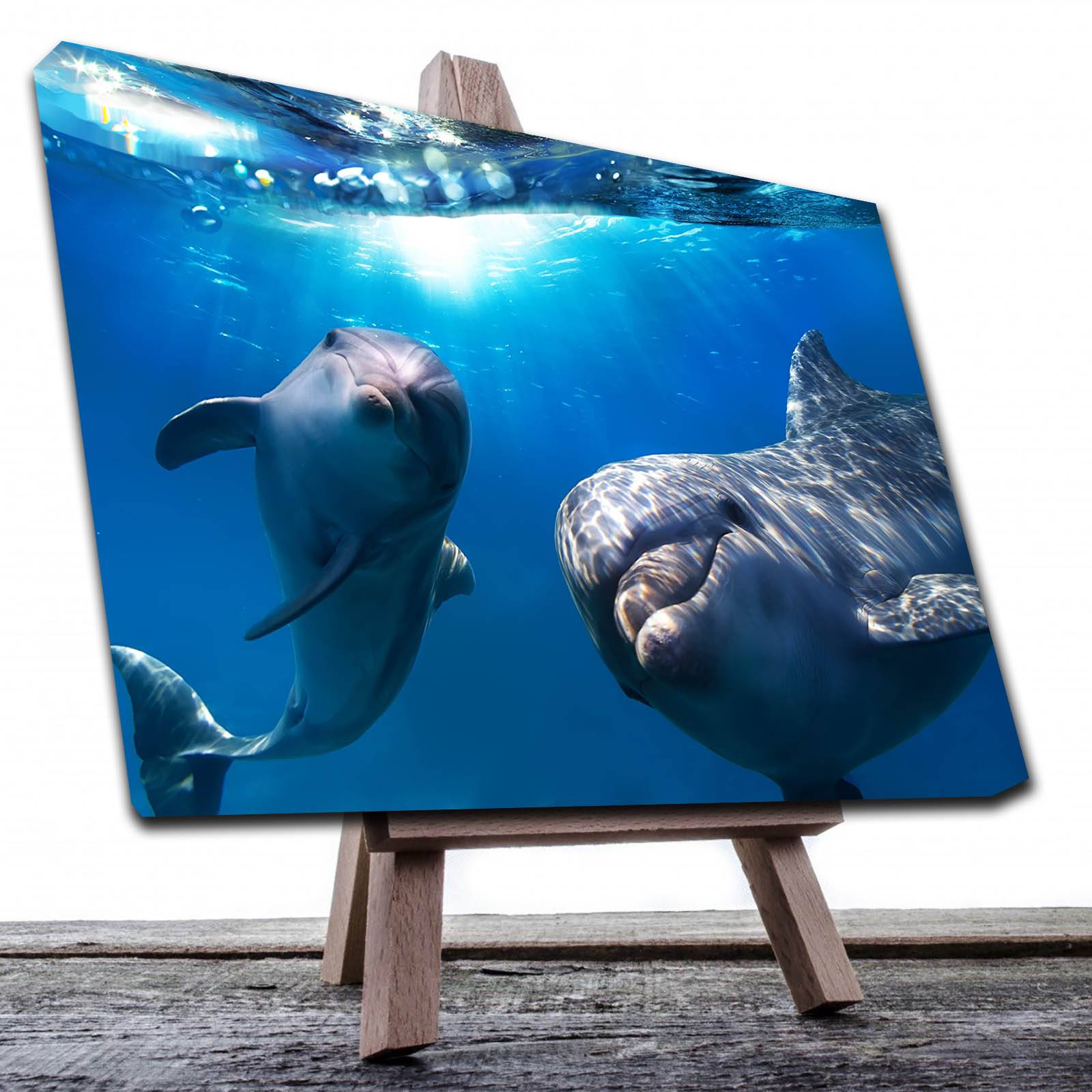 Cuadro Decorativo Canvas Paisaje de Delfines de 120 X 80 cm