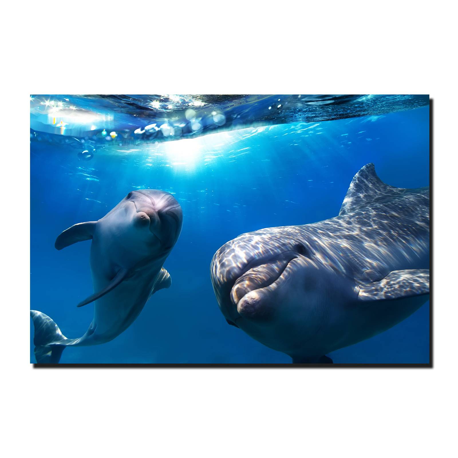 Cuadro Decorativo Canvas Paisaje de Delfines de 120 X 80 cm