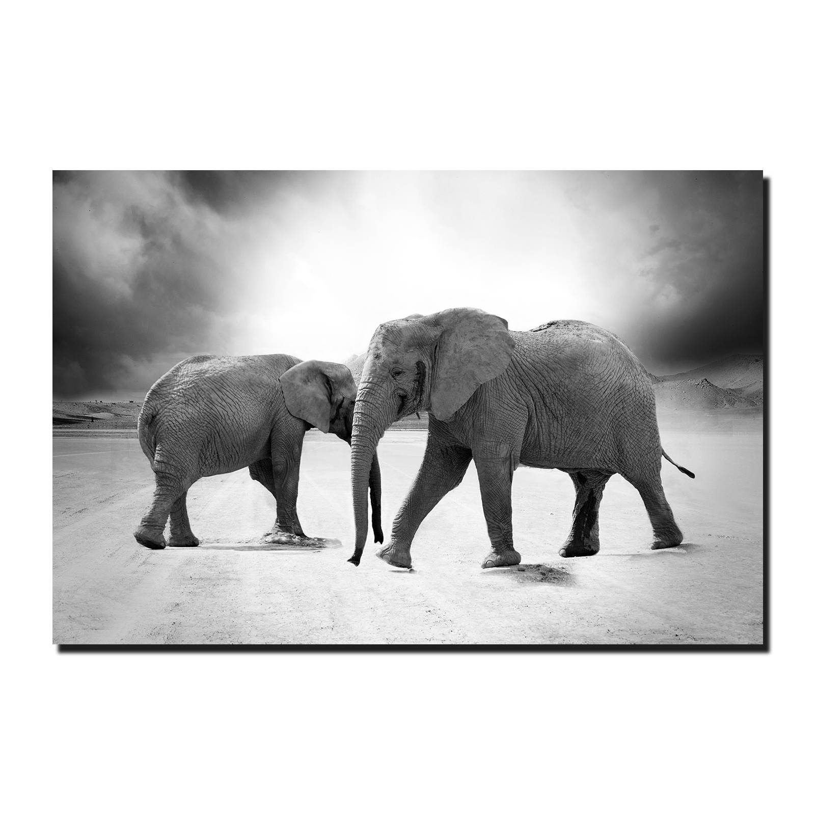 Cuadro Decorativo Canvas Paisaje Elefantes en blanco y negro de 120 X 60 cm