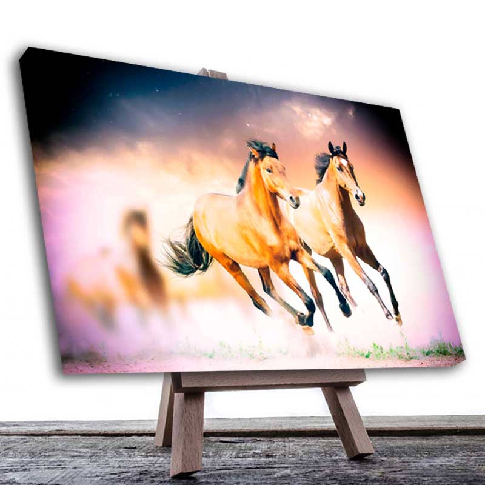 Cuadro Decorativo Par de Caballos Galopando 120 X 60 cm.