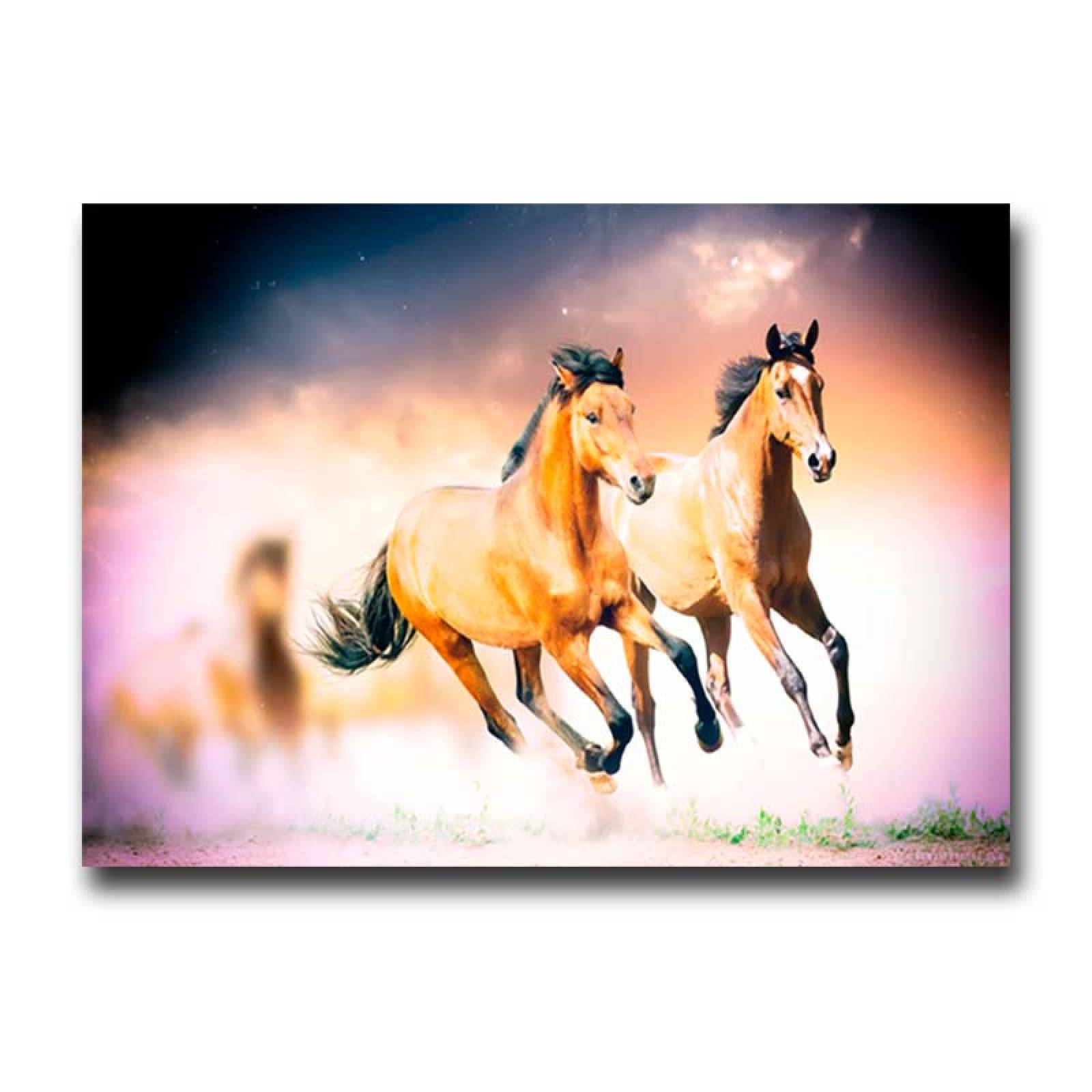 Cuadro Decorativo Par de Caballos Galopando 120 X 60 cm.