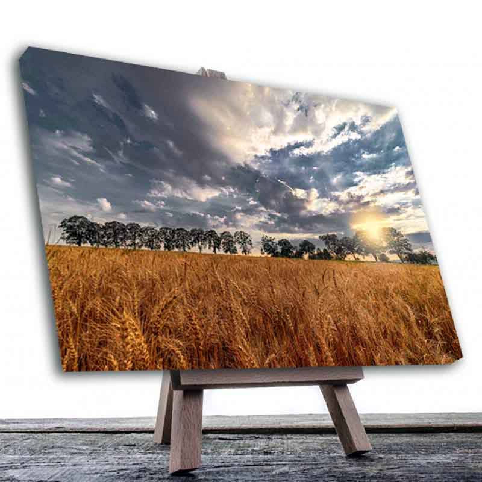 Cuadro Decorativo Canvas un Lindo Atardecer 120 X 60 cm.