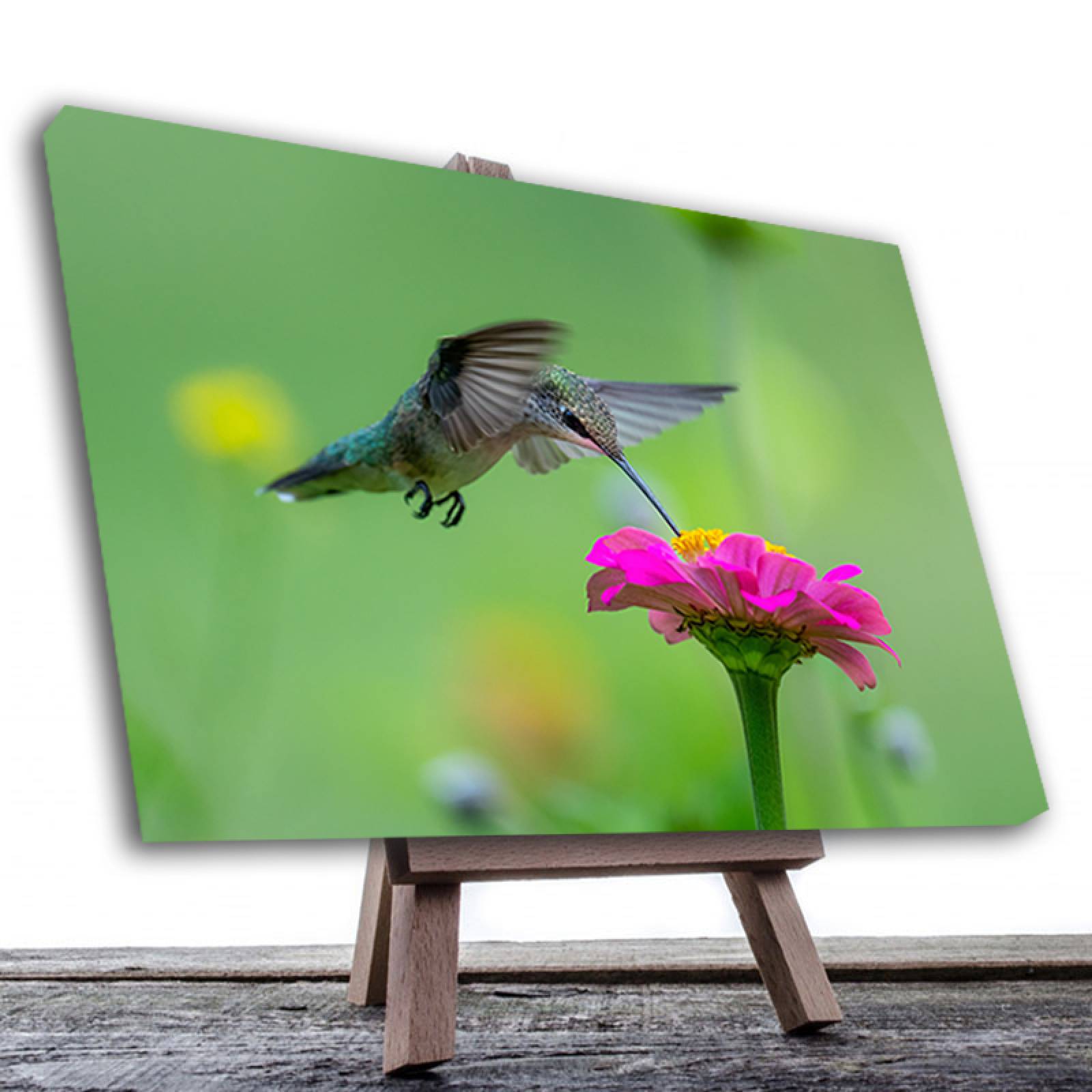 Cuadro Decorativo Canvas Ave Colibrí  60 X 40 cm #22