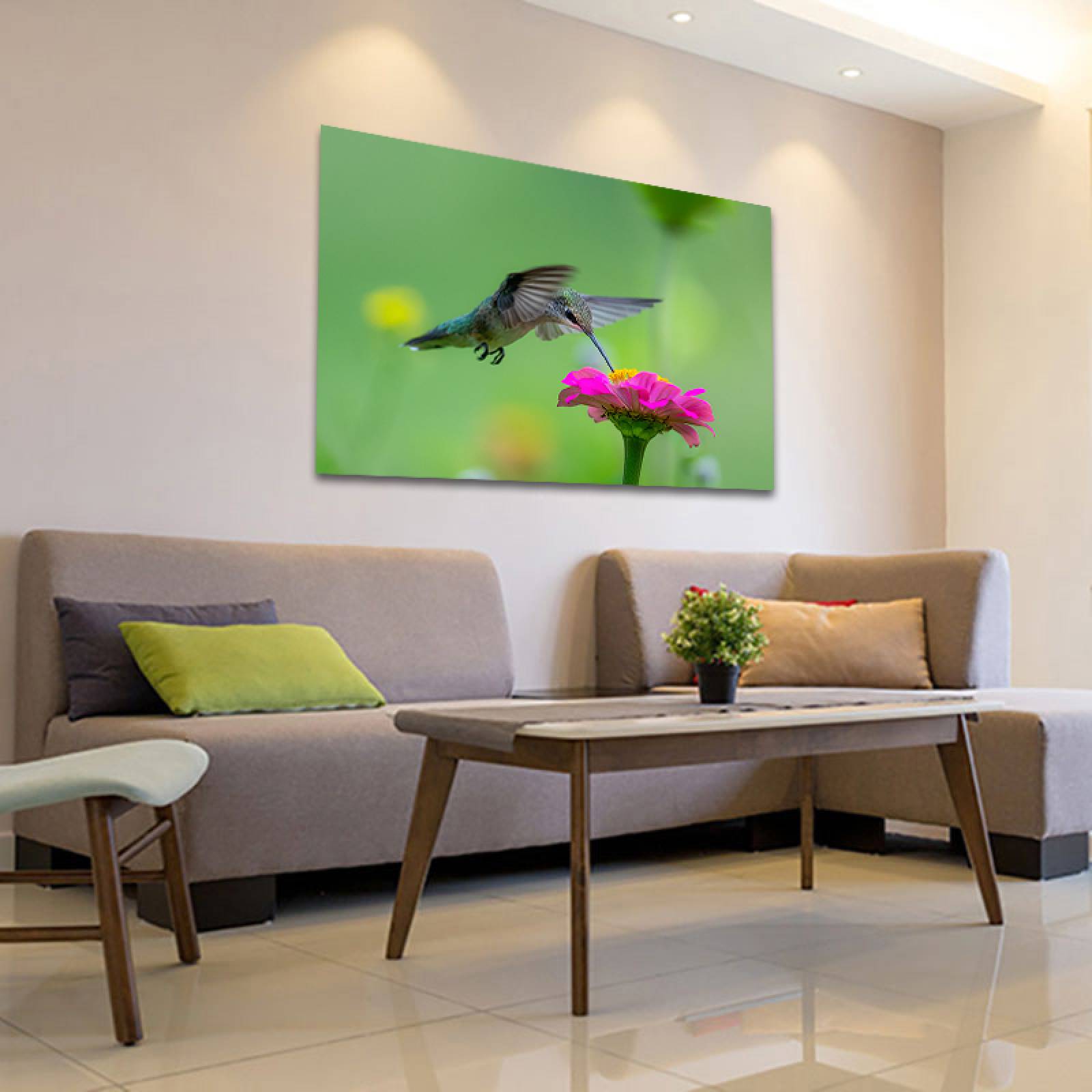 Cuadro Decorativo Canvas Ave Colibrí  60 X 40 cm #22