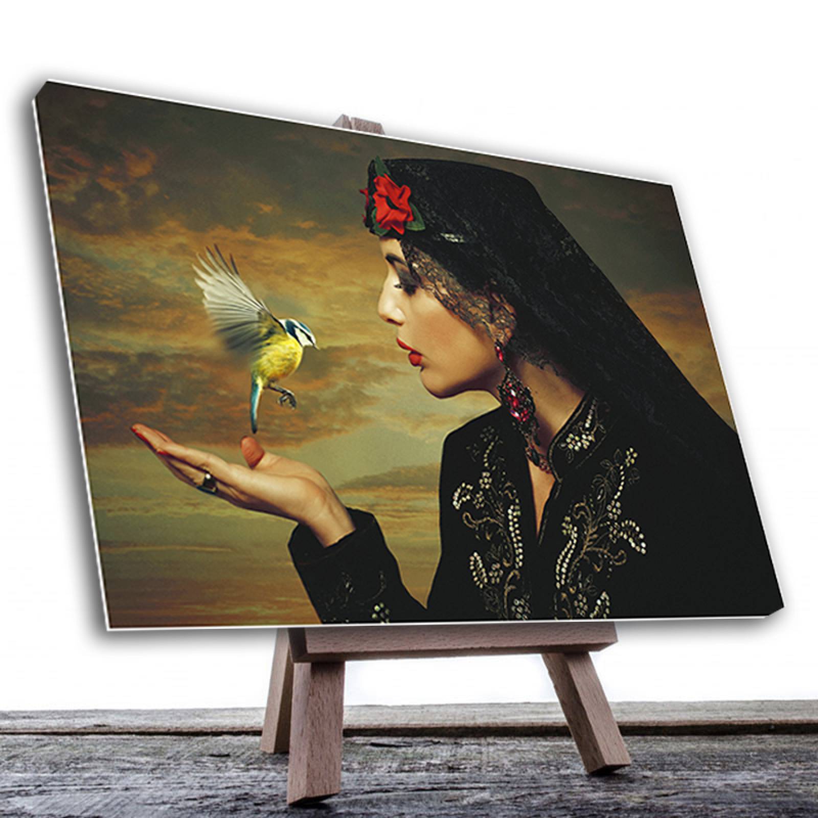 Cuadro Decorativo Canvas Ave Colibrí  60 X 40 cm #23