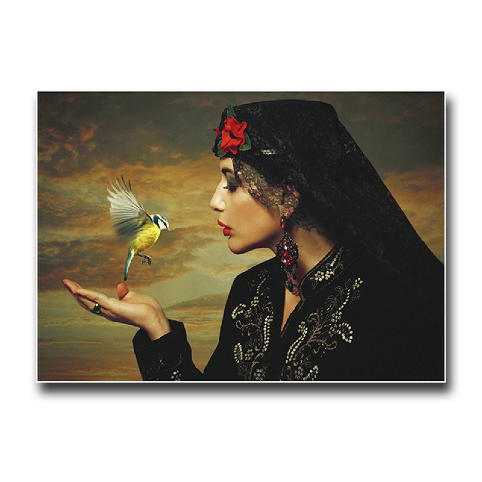 Cuadro Decorativo Canvas Ave Colibrí  60 X 40 cm #23