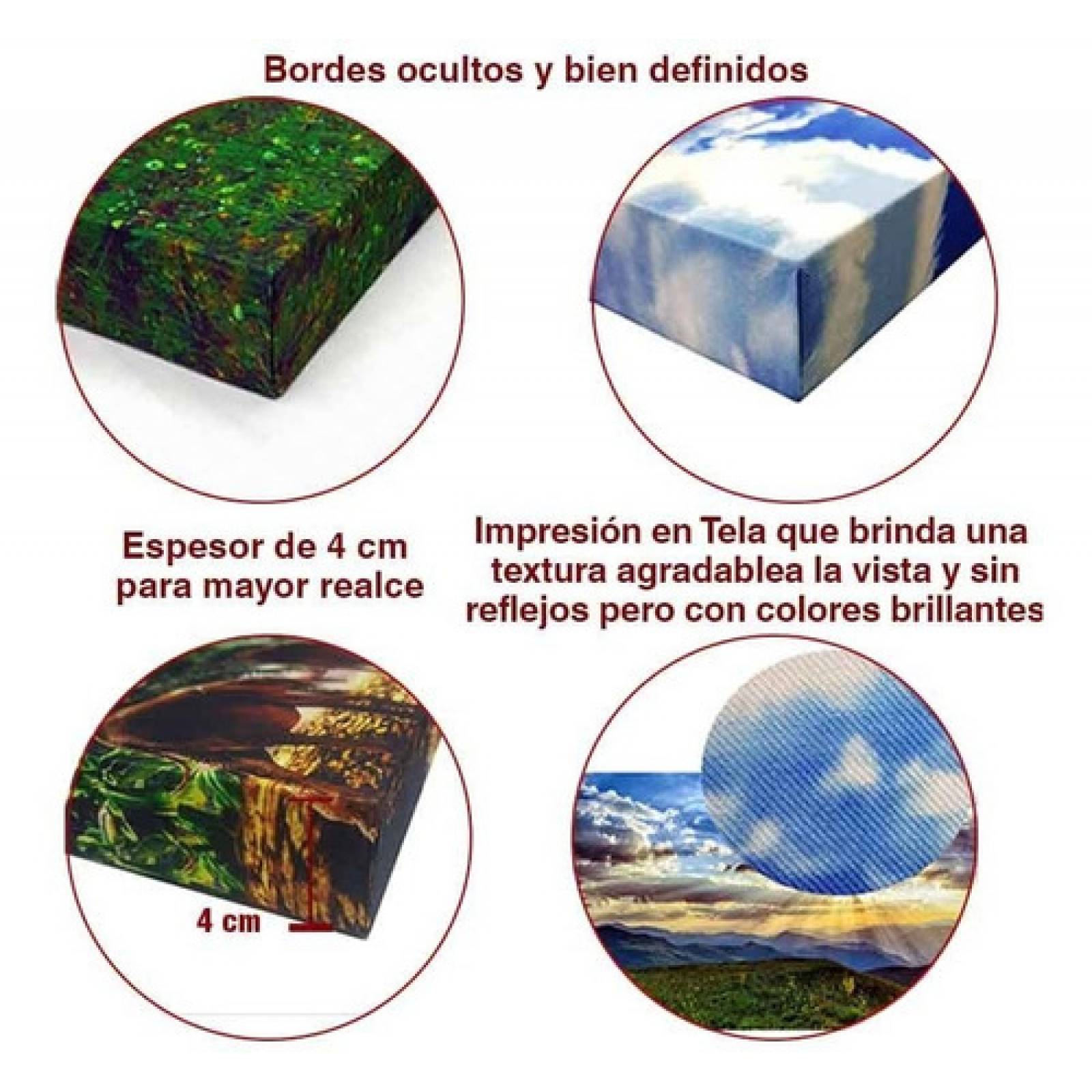 Cuadro Decorativo Canvas Ave Colibrí  60 X 40 cm #23