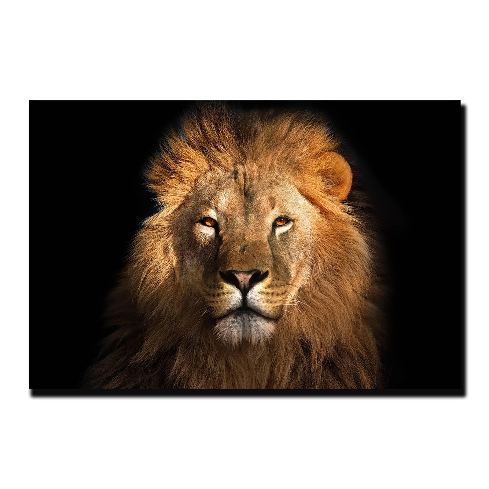 Cuadro Decorativo Cara de Leon # 1 45 X 30