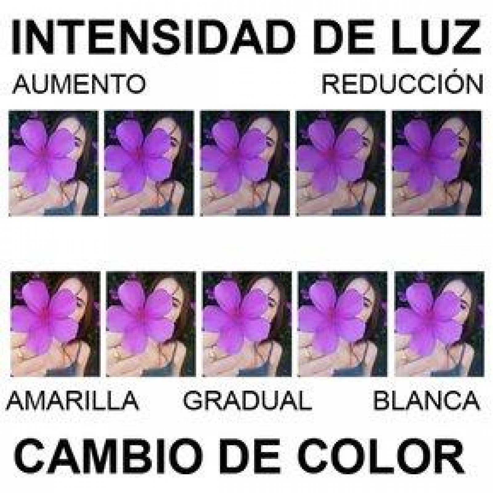 Tripie Lampara Aro de Luz Led para Video y Foto Ajustable