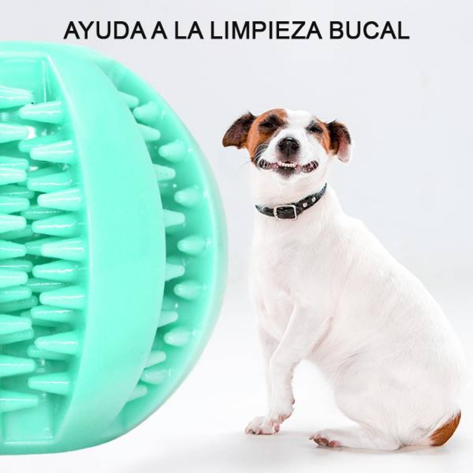 Pelota de Juguete para Perros, Pelota de Goma para Croquetas, Anti