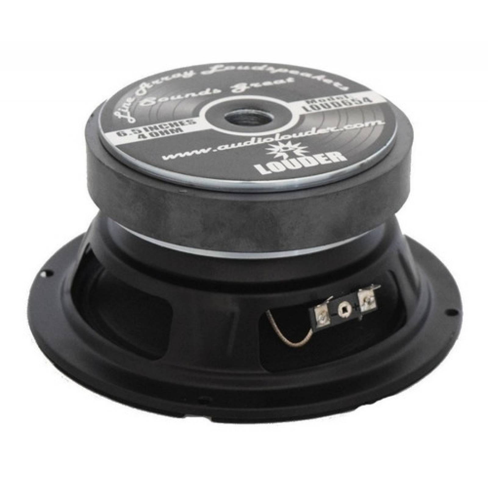 1pz Bocinas 6.5 Pulgadas Profesional Par Line Array 4 Ohms