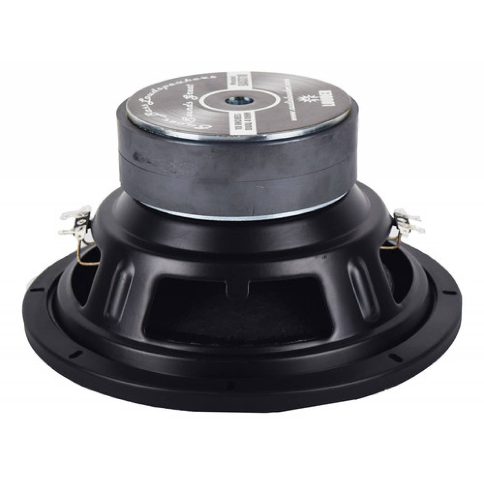 Subwoofer Bocina Woofer 10 Pulgadas Doble Bobina Spl