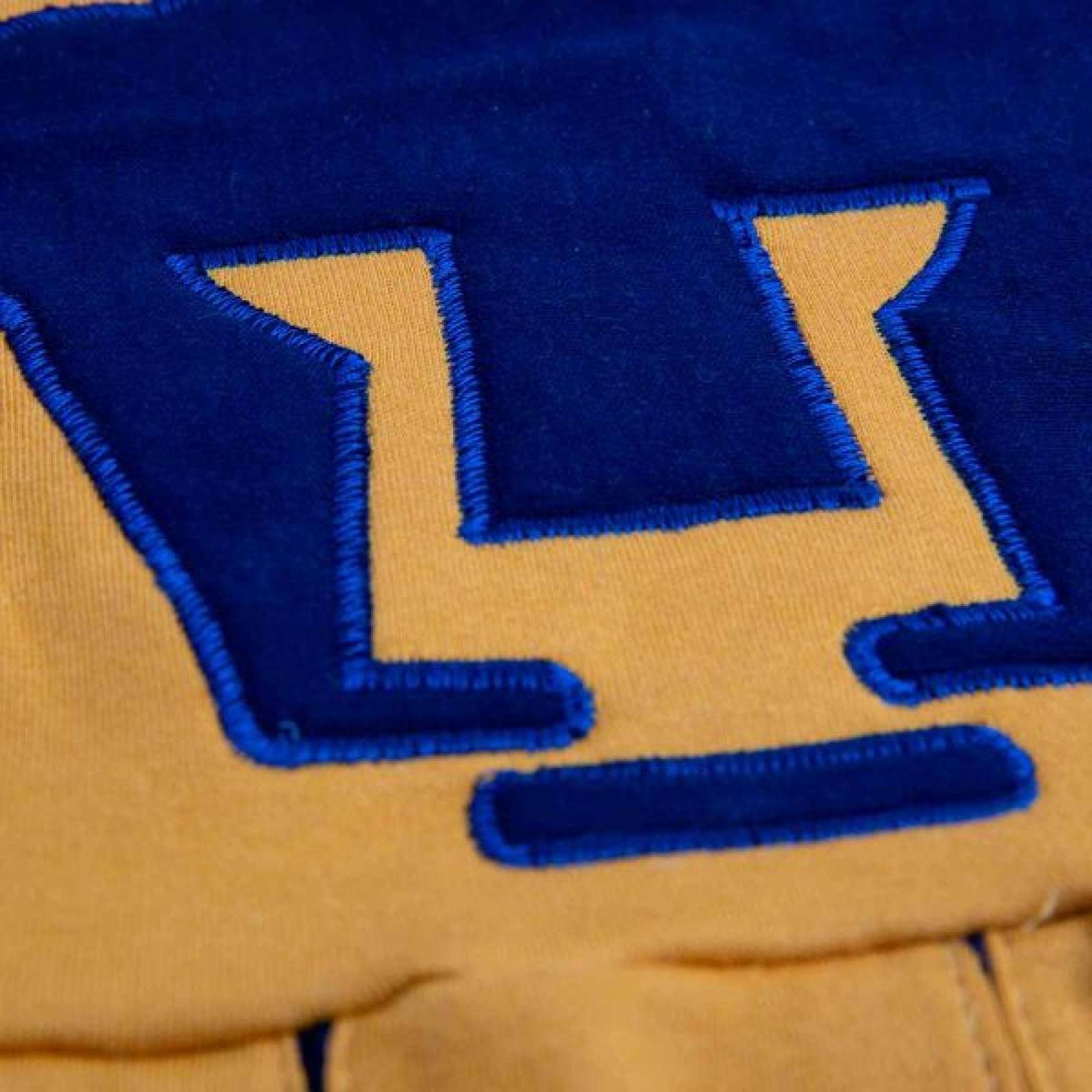 Vestido Porrista Pumas UNAM Oro