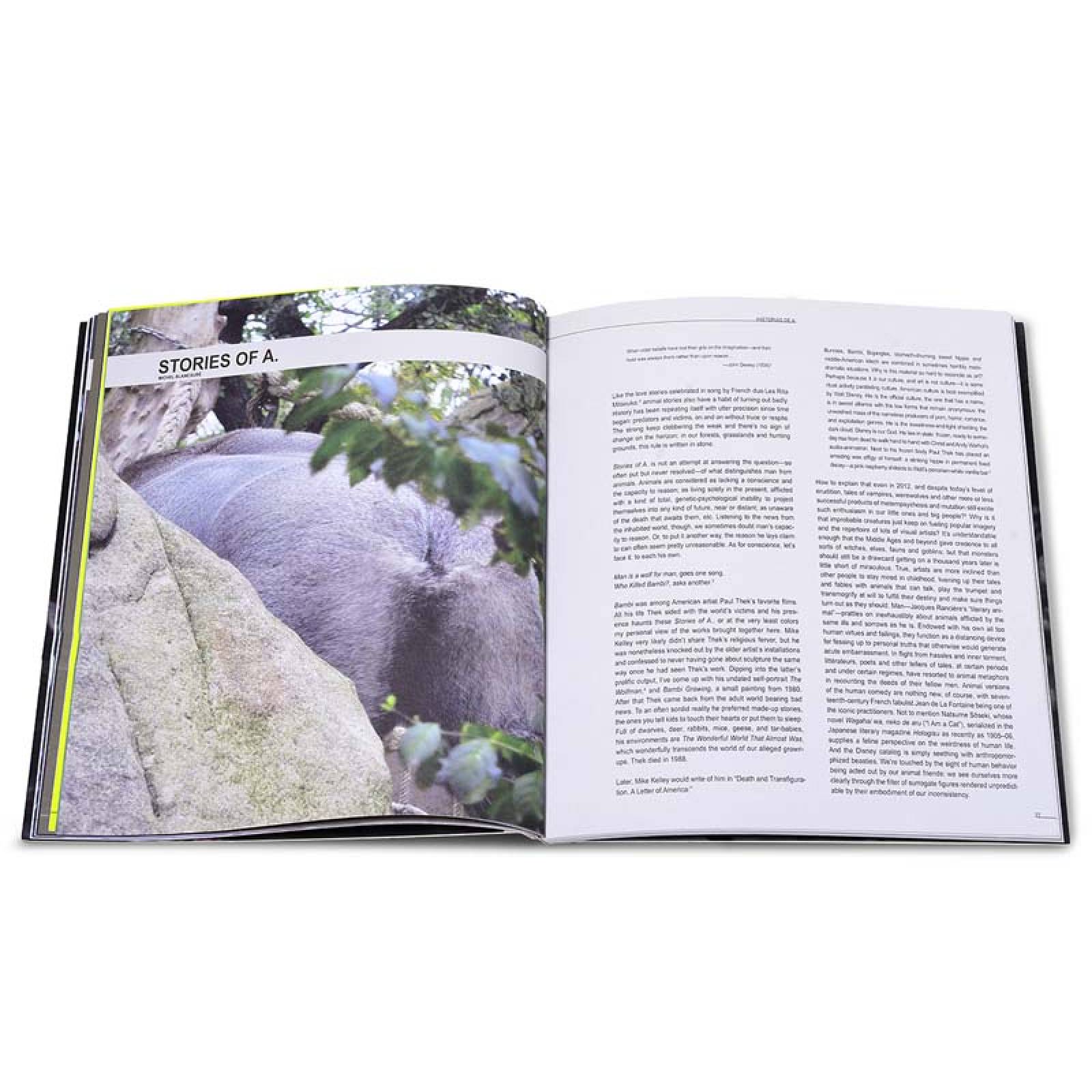 Historias de A. Obras de la Colección Jumex