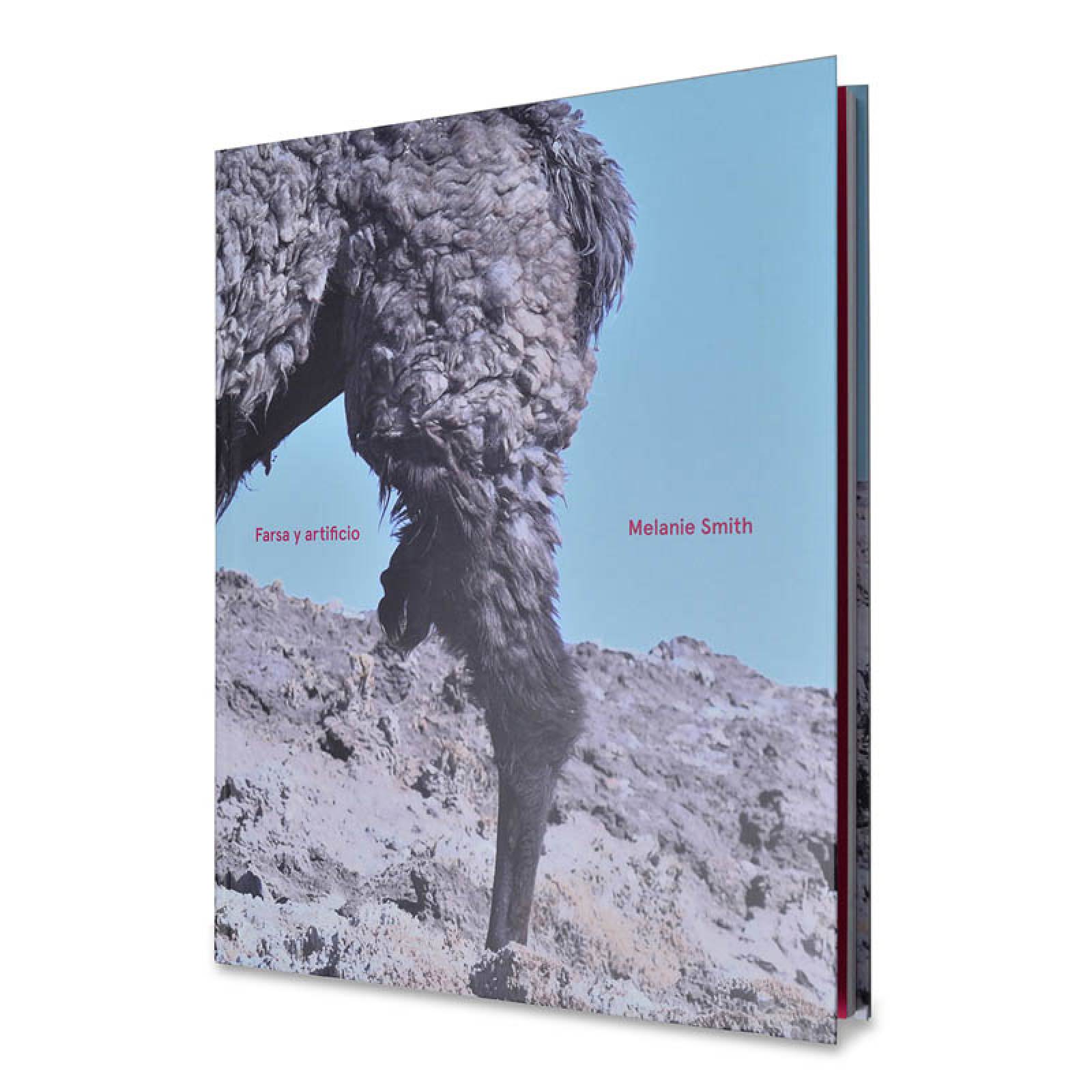 Melanie Smith. Farsa y artificio