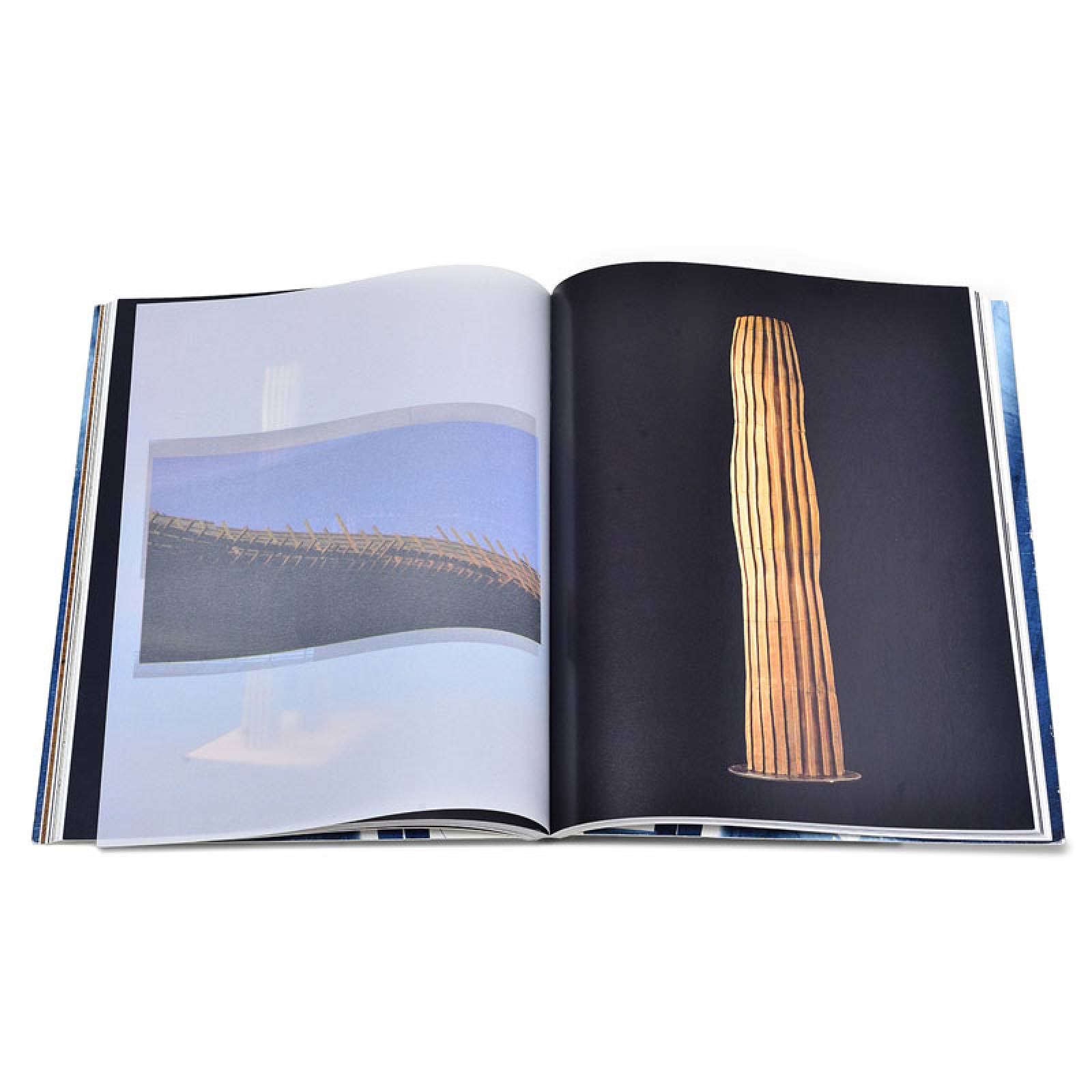 Paloma Torres. Horizontes fragmentados